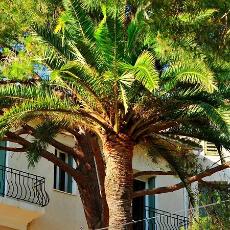 Vtf Clairefont 3* Bandol